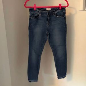 LOFT Petite Skinny Jeans